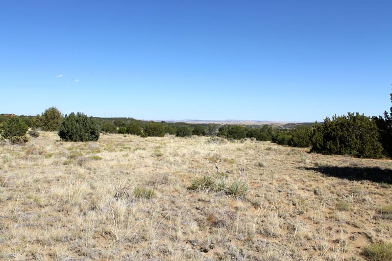 Black Diamond Park Tract 5 photo 5