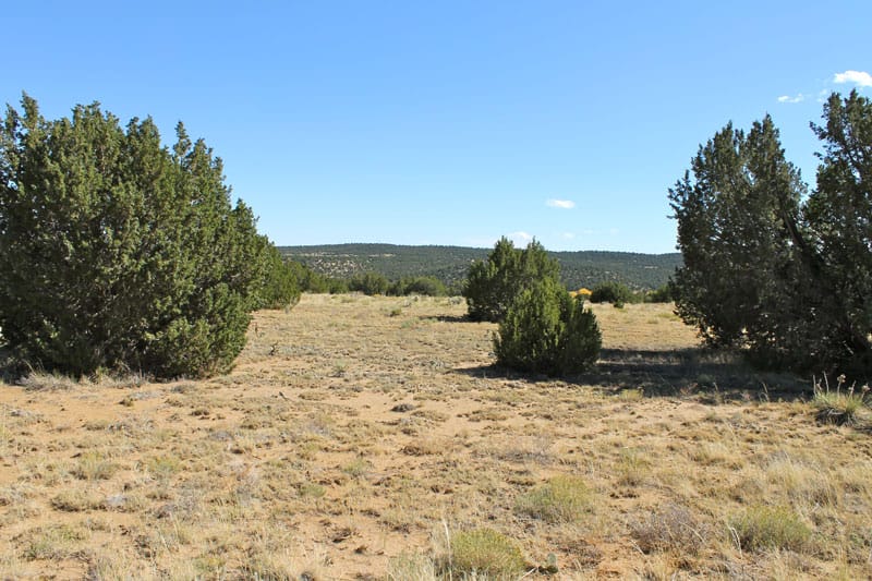 Black Diamond Park Tract 5 photo 7