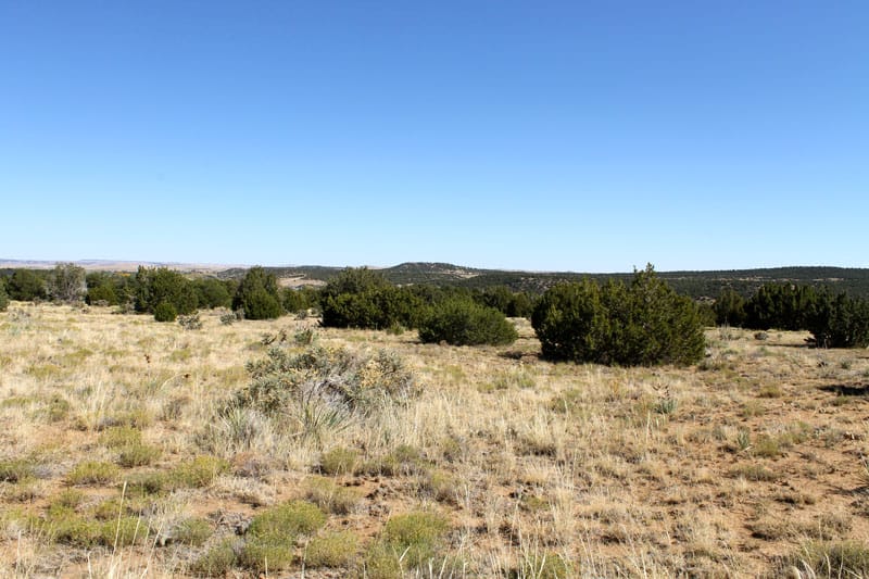 Black Diamond Park Tract 5 photo 9