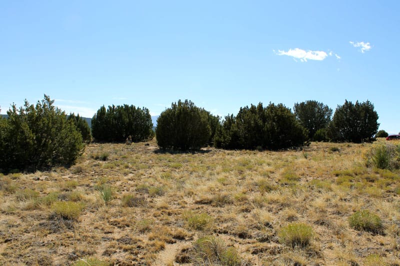 Black Diamond Park Tract 5 photo 11