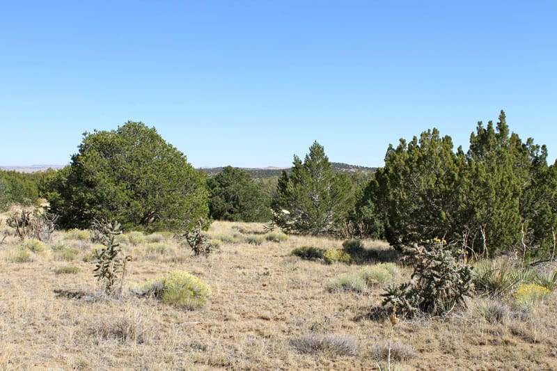 Black Diamond Park Tract 5 photo 16