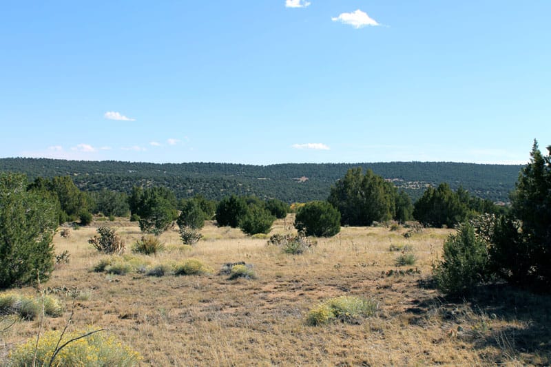 Black Diamond Park Tract 5 photo 17