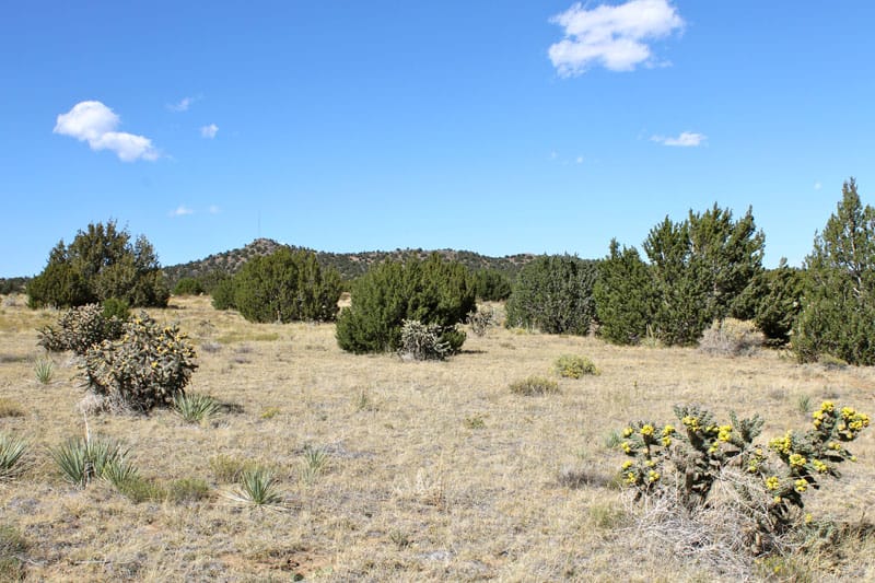 Black Diamond Park Tract 5 photo 23