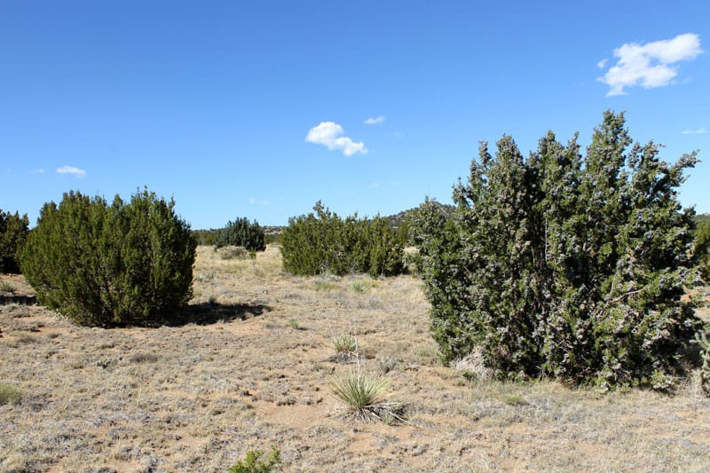 Black Diamond Park Tract 5 photo 26