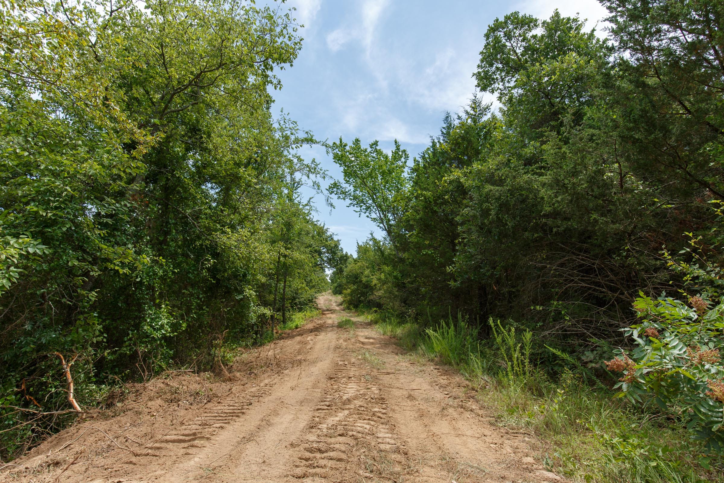 Timber Ridge Tract 39 photo 1