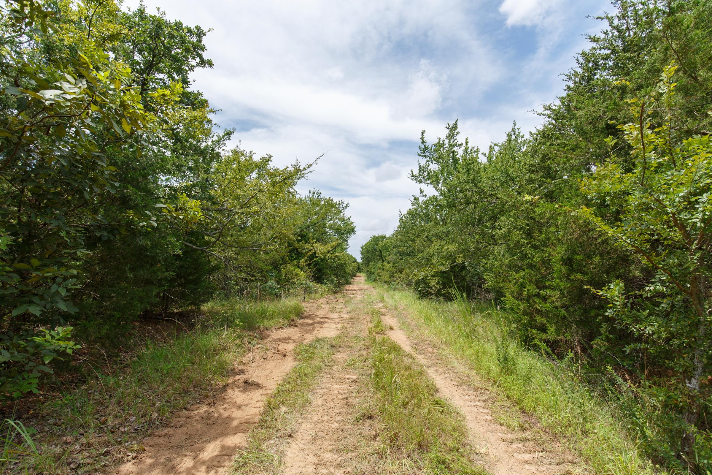 Timber Ridge Tract 39 photo 4