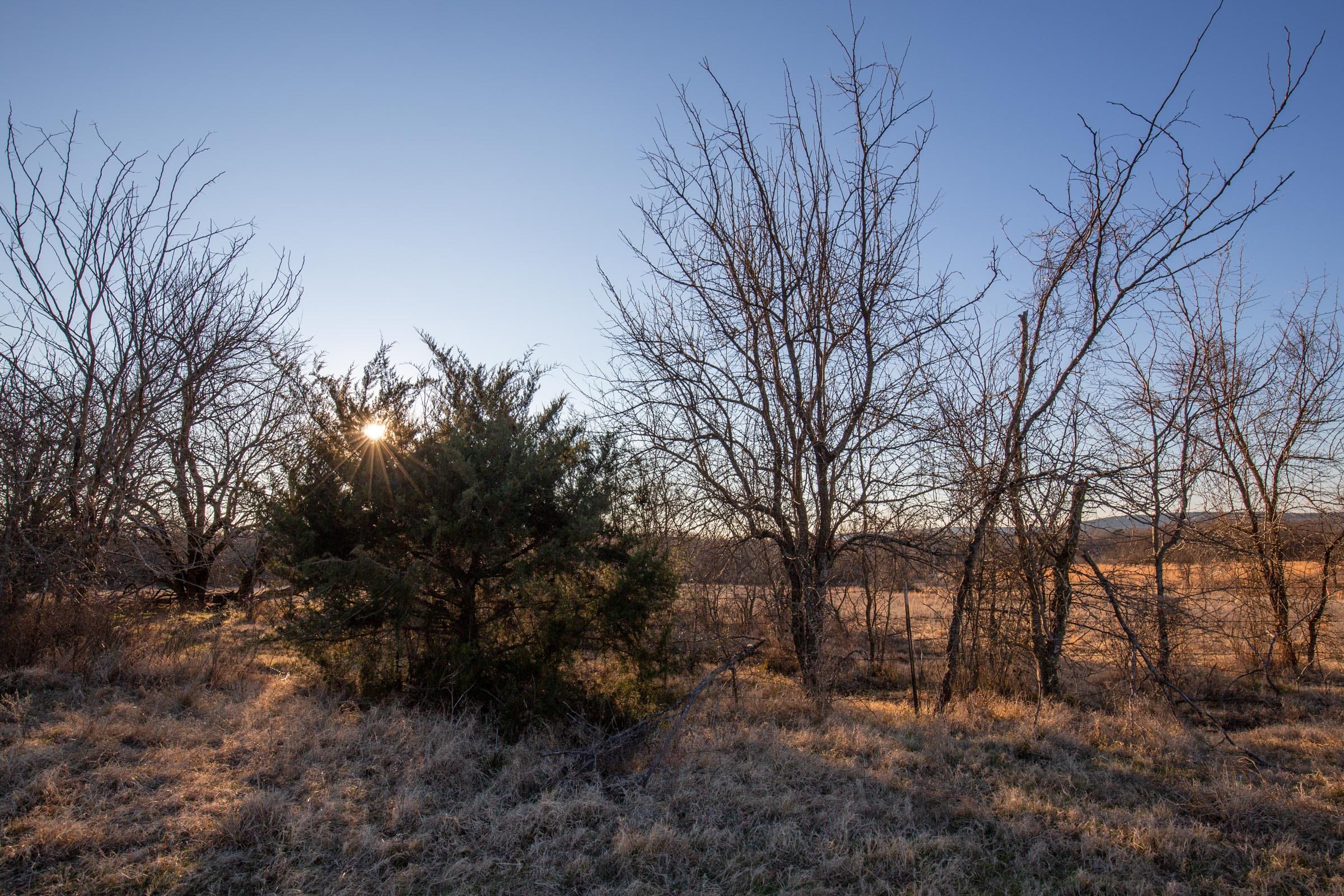 Painted Horse Tract 40 photo 2
