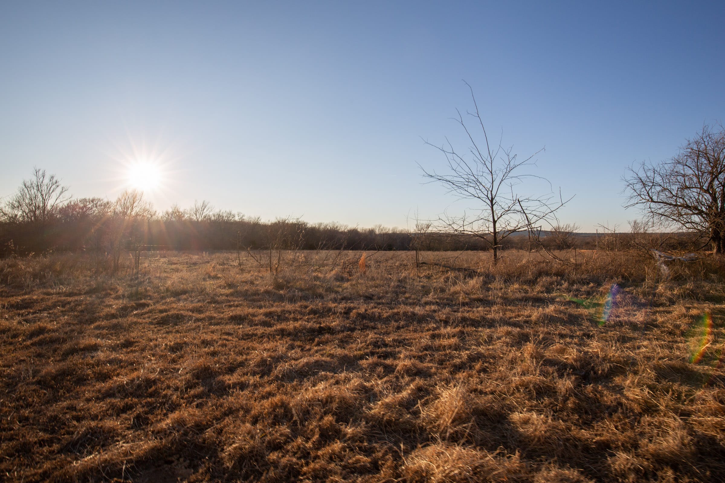 Painted Horse Tract 40 photo 6
