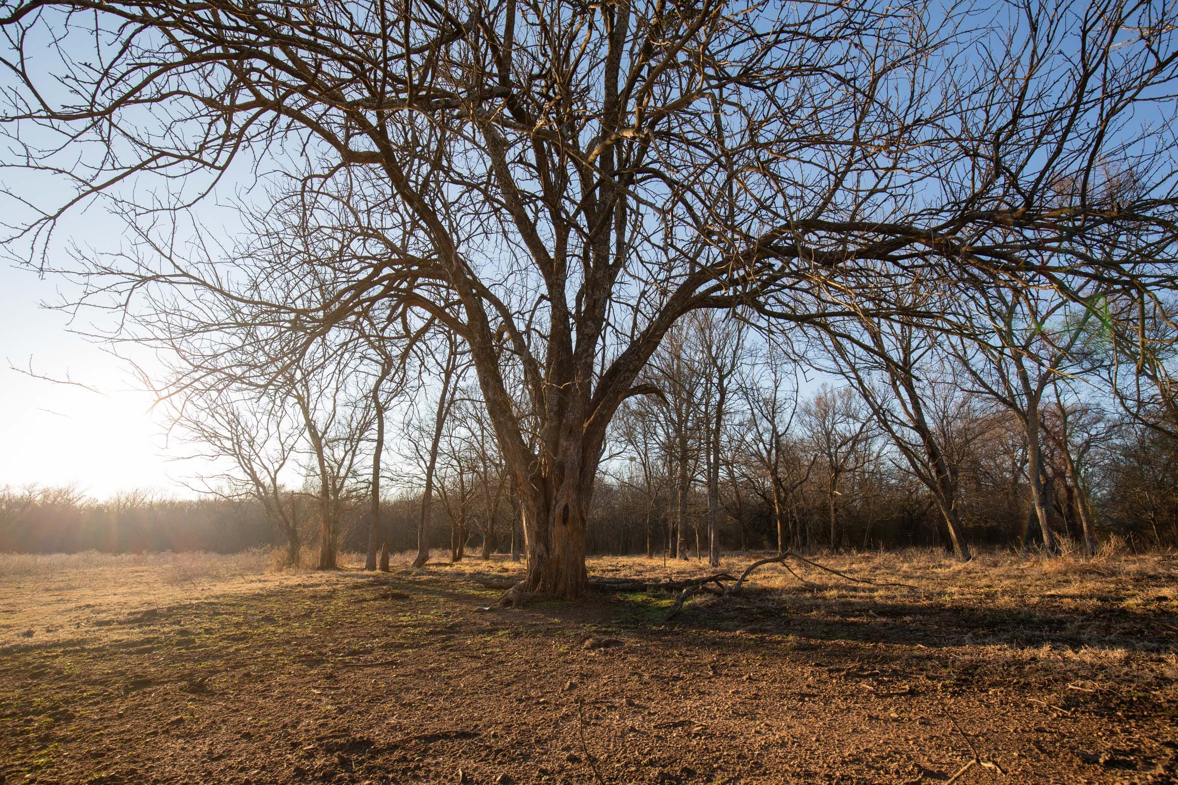 Painted Horse Tract 40 photo 11