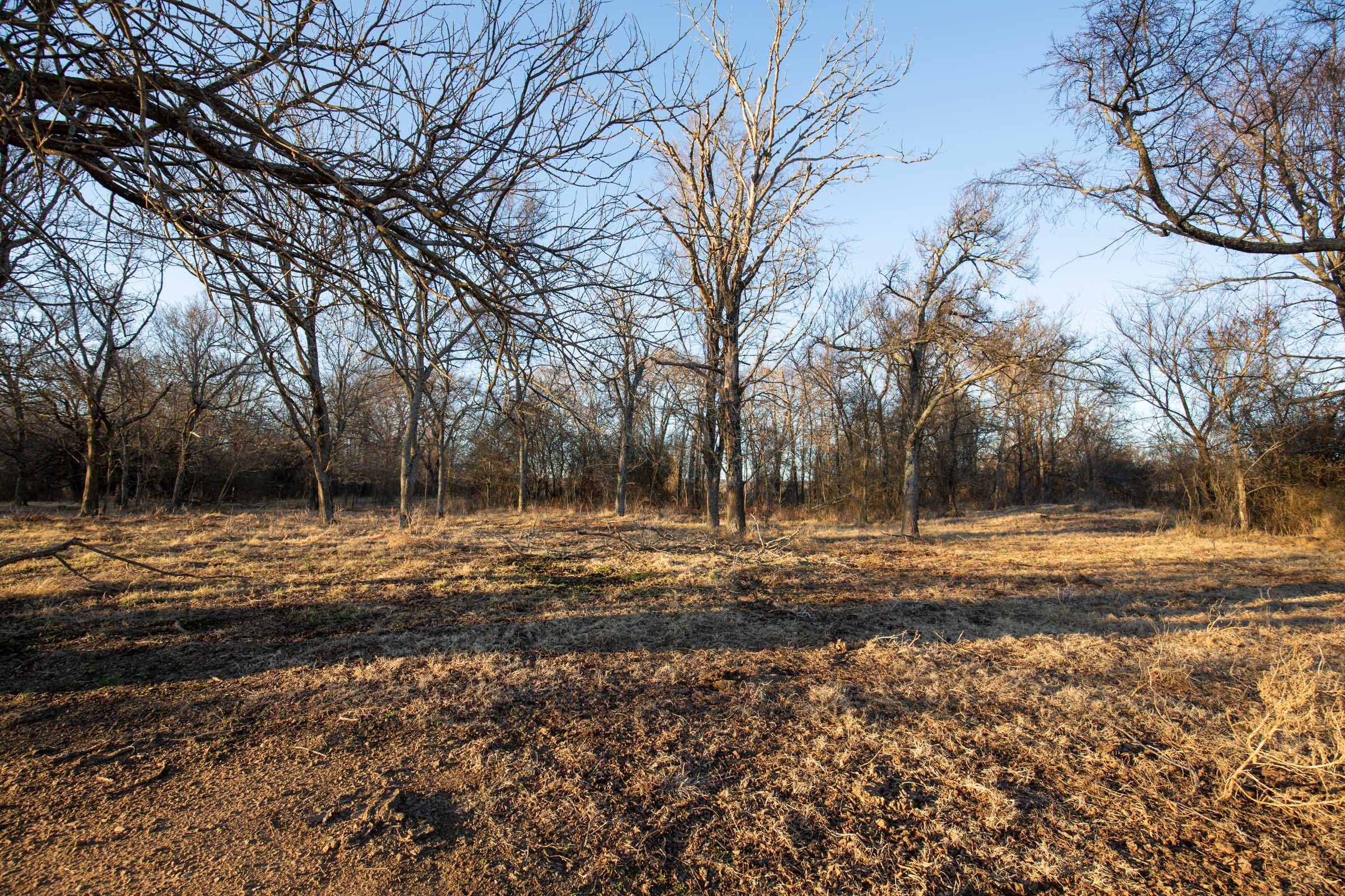 Painted Horse Tract 40 photo 12