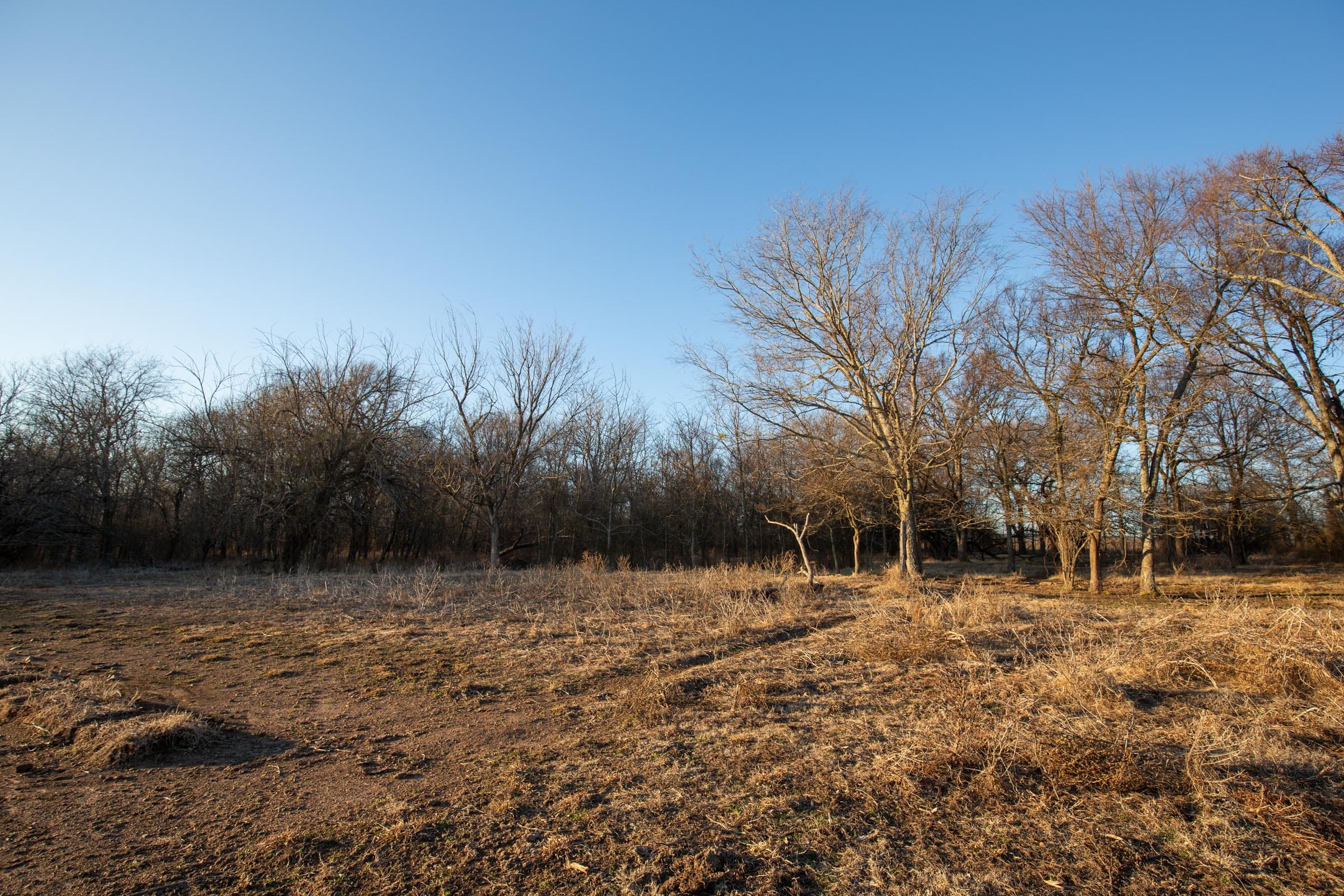 Painted Horse Tract 40 photo 13