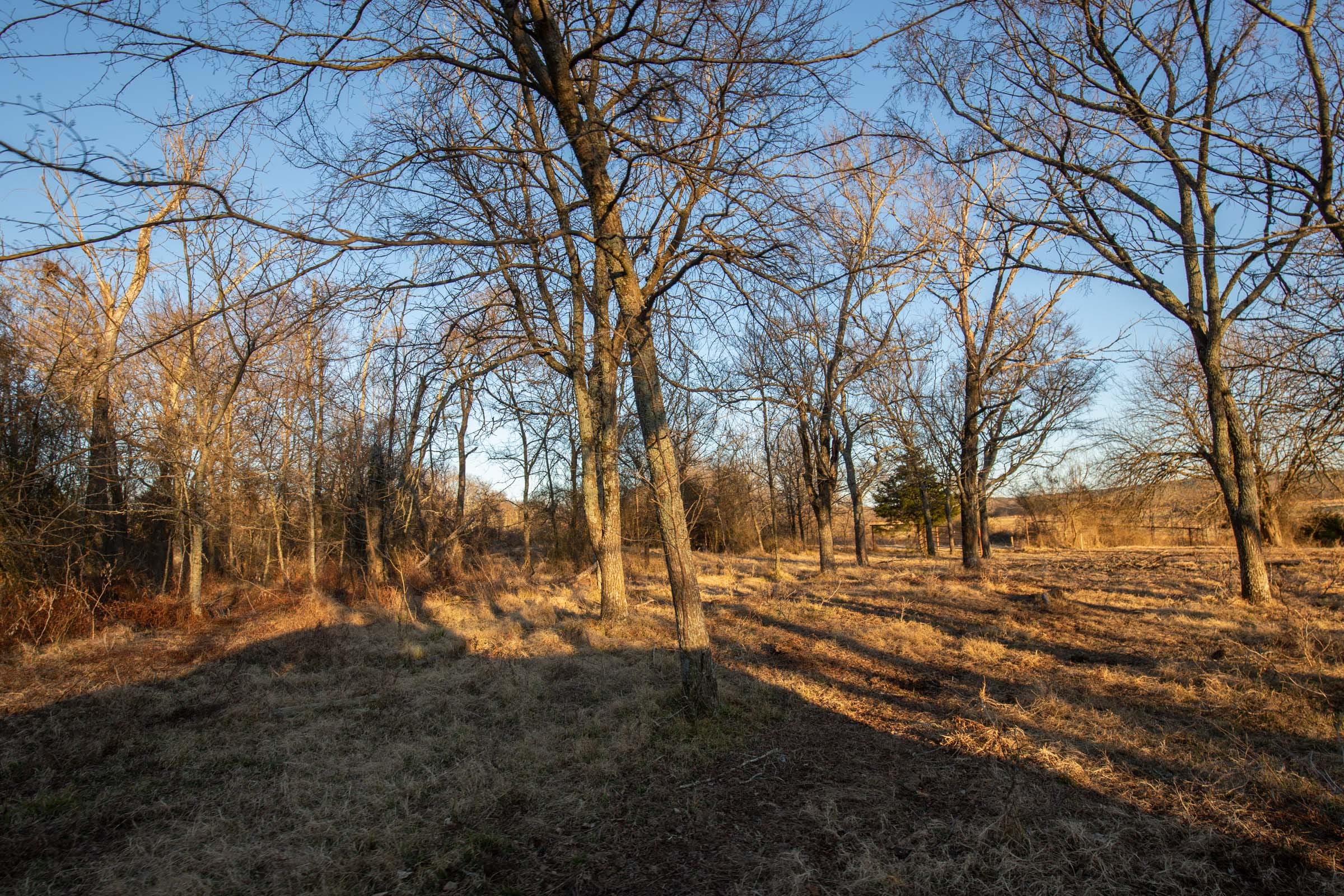 Painted Horse Tract 40 photo 15