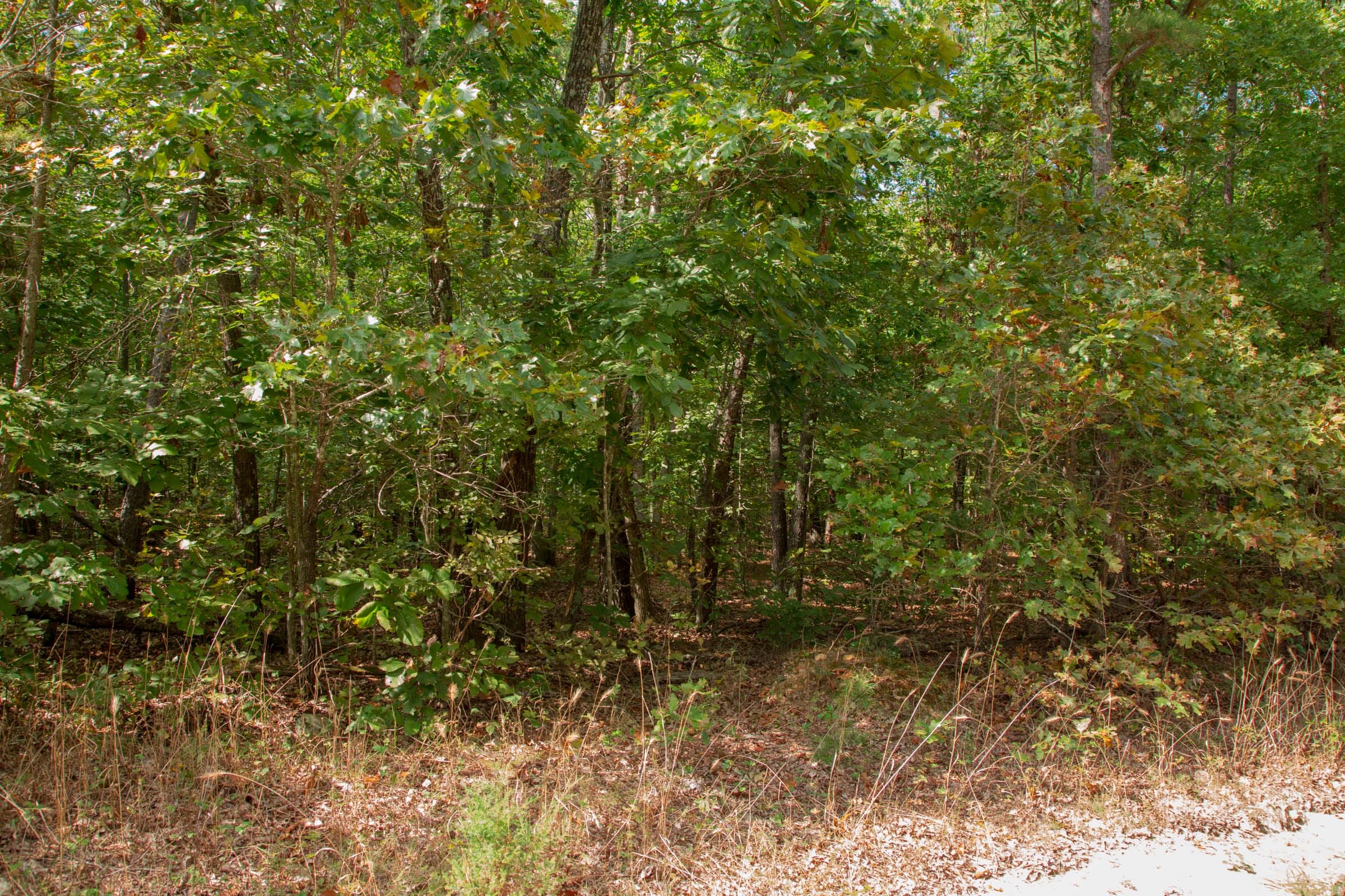 Wagon Wheel Ranch Tract 12 photo 3