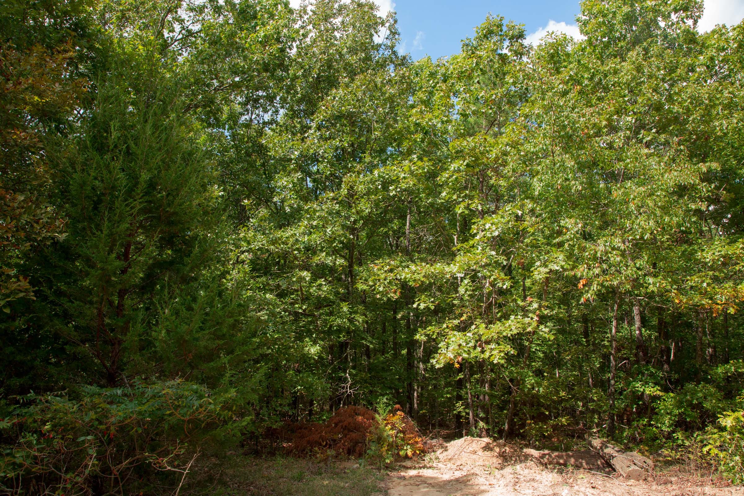 Wagon Wheel Ranch Tract 12 photo 4
