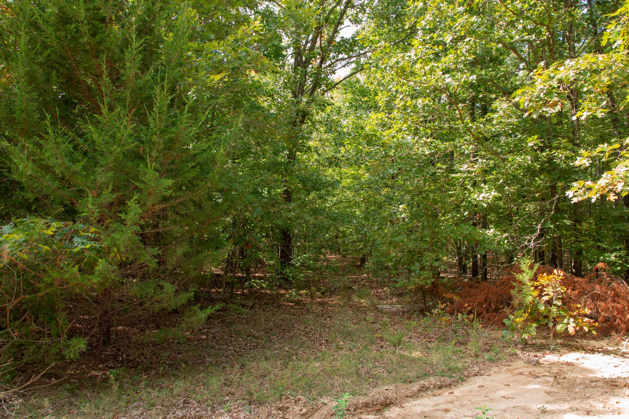 Wagon Wheel Ranch Tract 12 photo 5