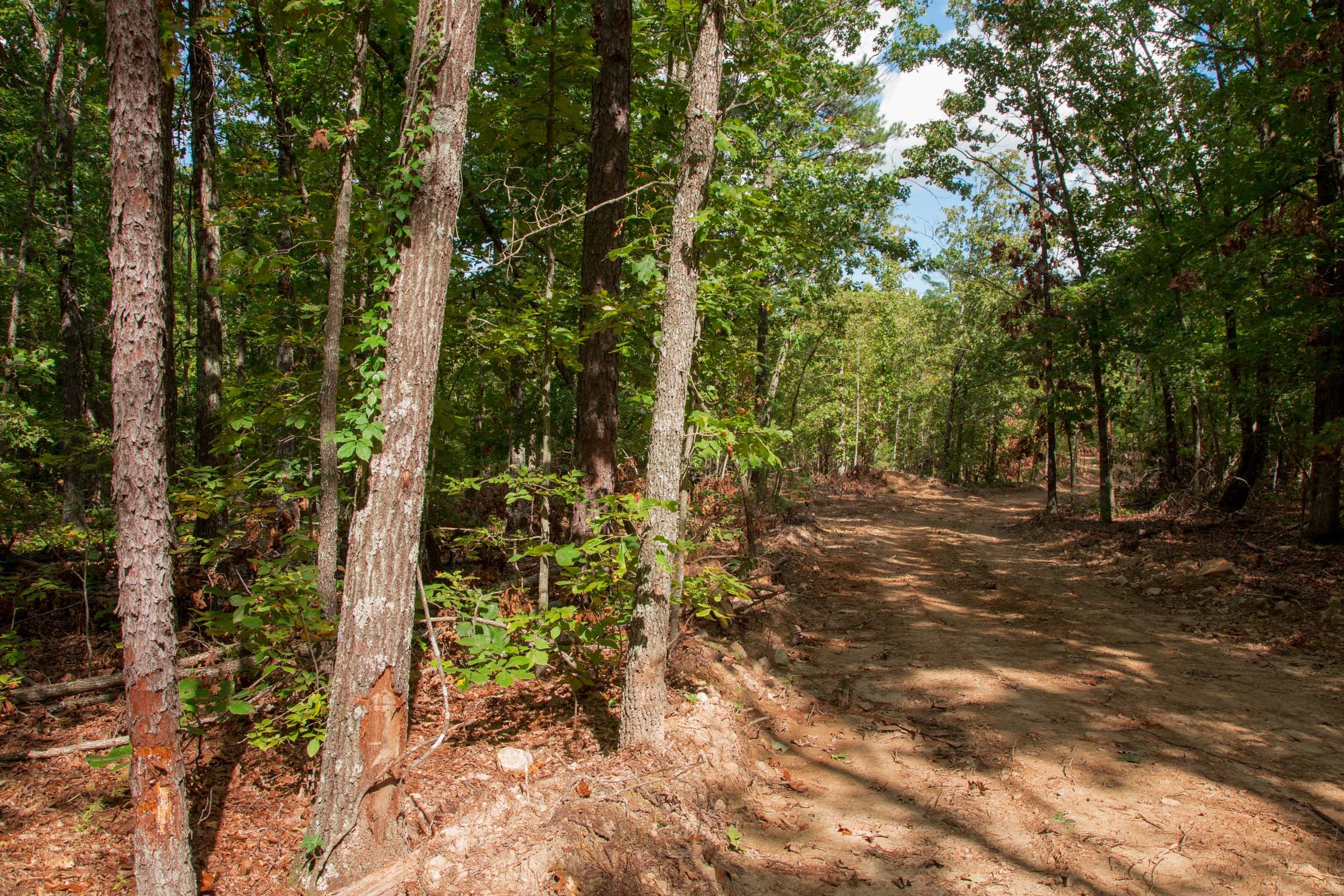 Wagon Wheel Ranch Tract 12 photo 7