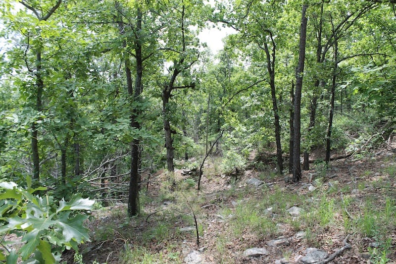 Indian Ridge – Phase II Tract 57 photo 2