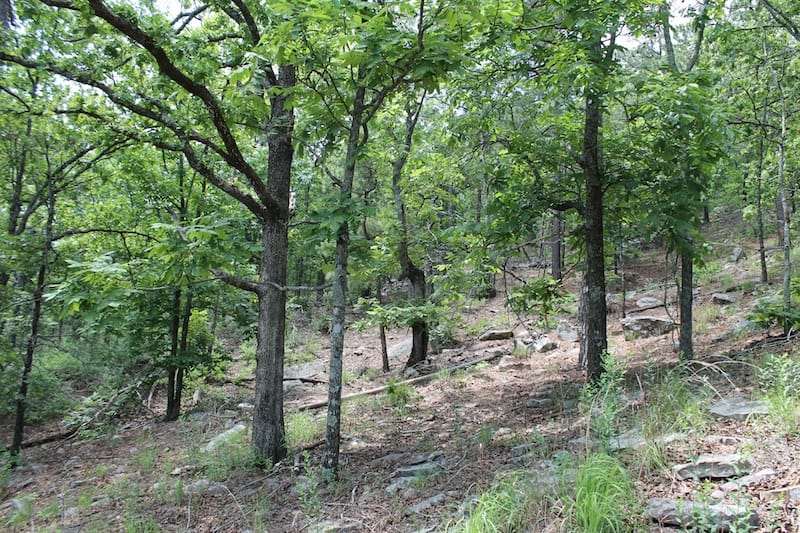 Indian Ridge – Phase II Tract 57 photo 3