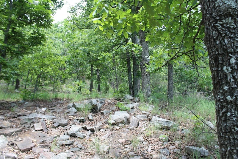 Indian Ridge – Phase II Tract 57 photo 5