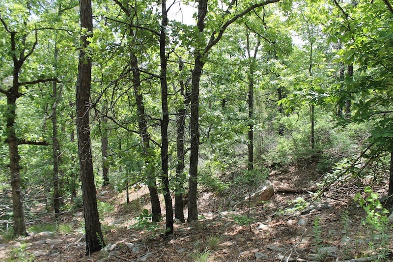 Indian Ridge – Phase II Tract 57 photo 6