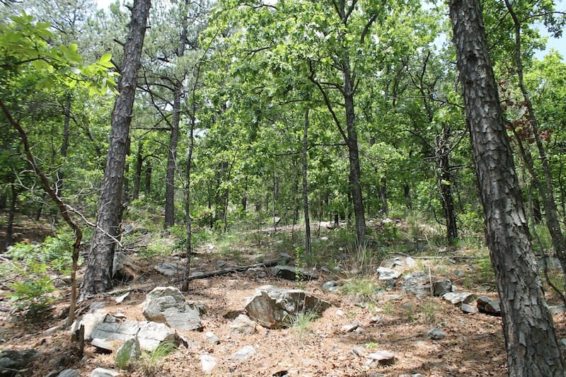 Indian Ridge – Phase II Tract 57 photo 7