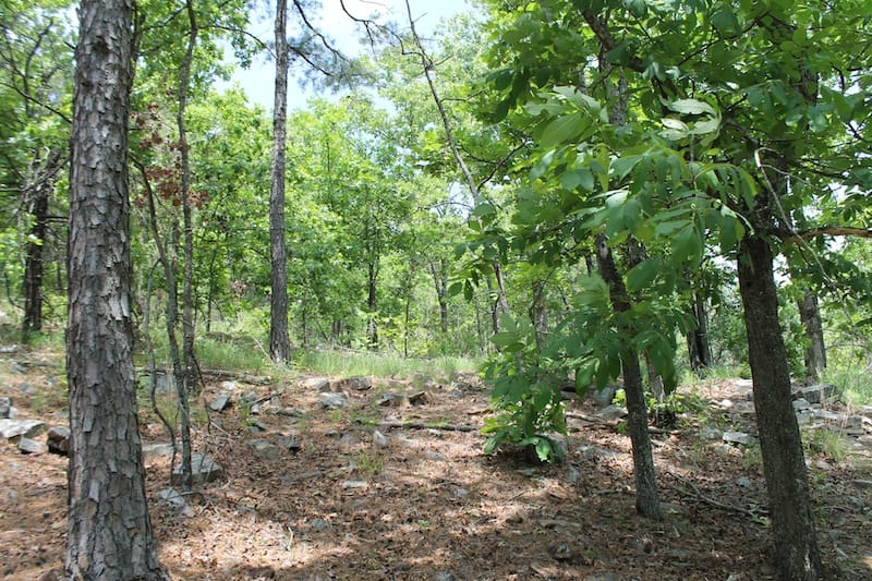 Indian Ridge – Phase II Tract 57 photo 8