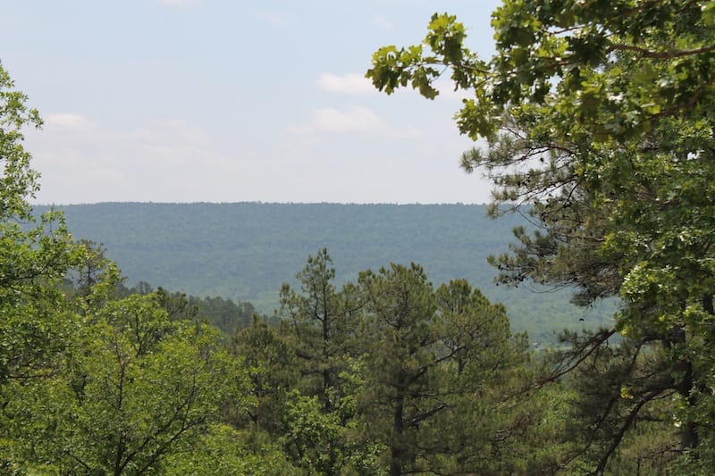 Indian Ridge – Phase II Tract 57 photo 9
