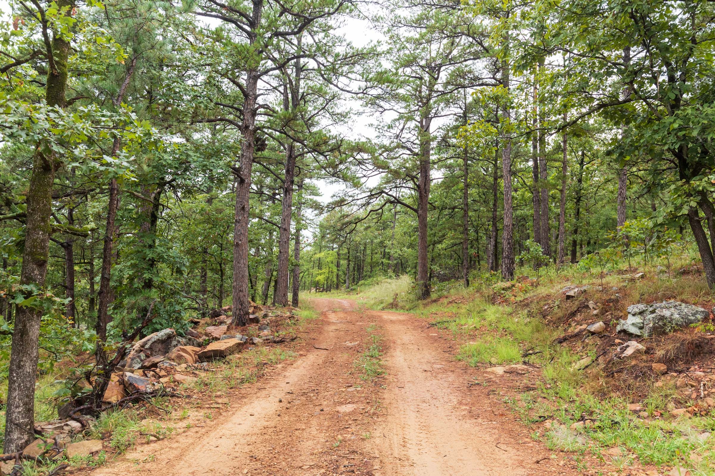 Stone Bridge Phase V Tract 353 photo 6