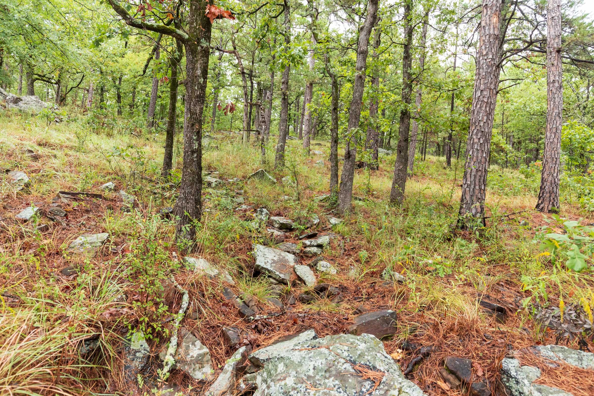 Stone Bridge Phase V Tract 353 photo 9