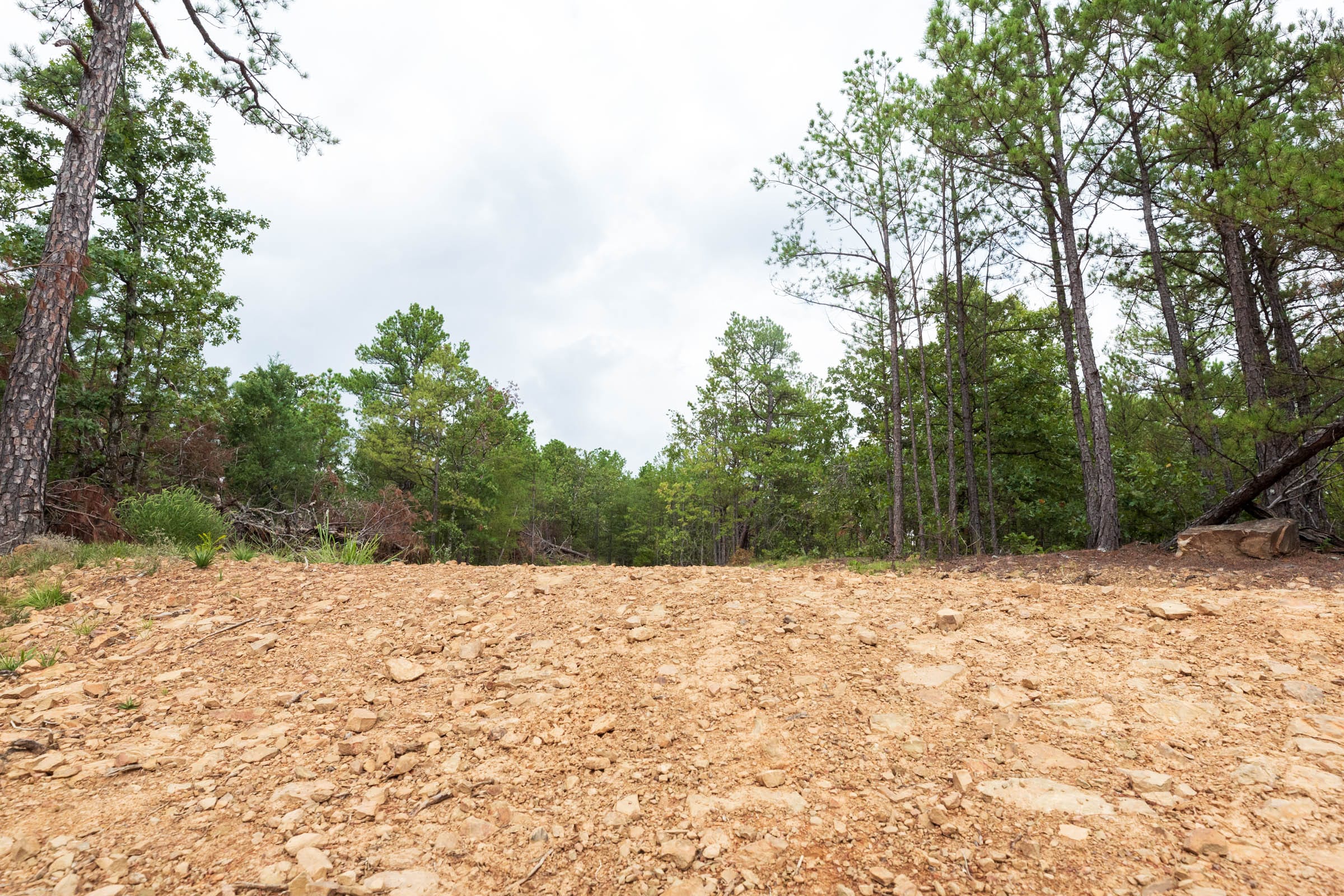 Stone Bridge Phase V Tract 353 photo 18