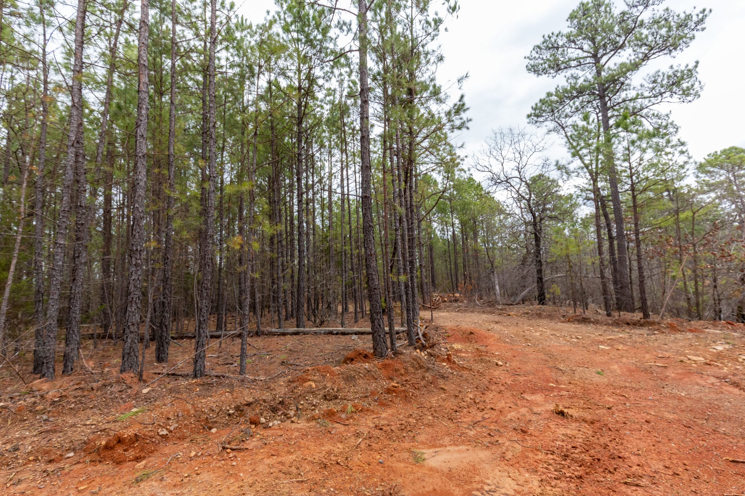 Stone Bridge Phase III Tract 190 photo 14