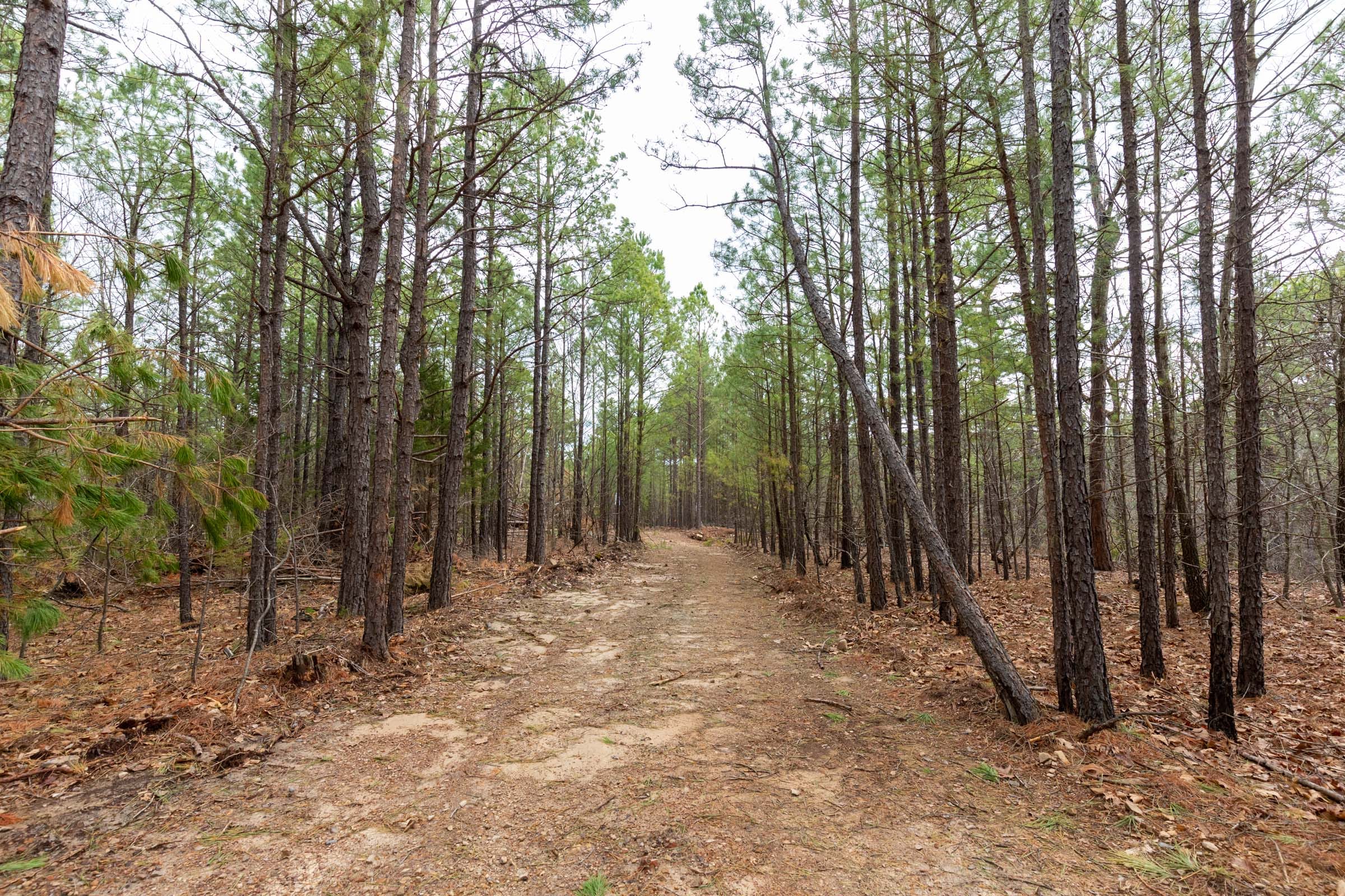Stone Bridge Phase III Tract 190 photo 4
