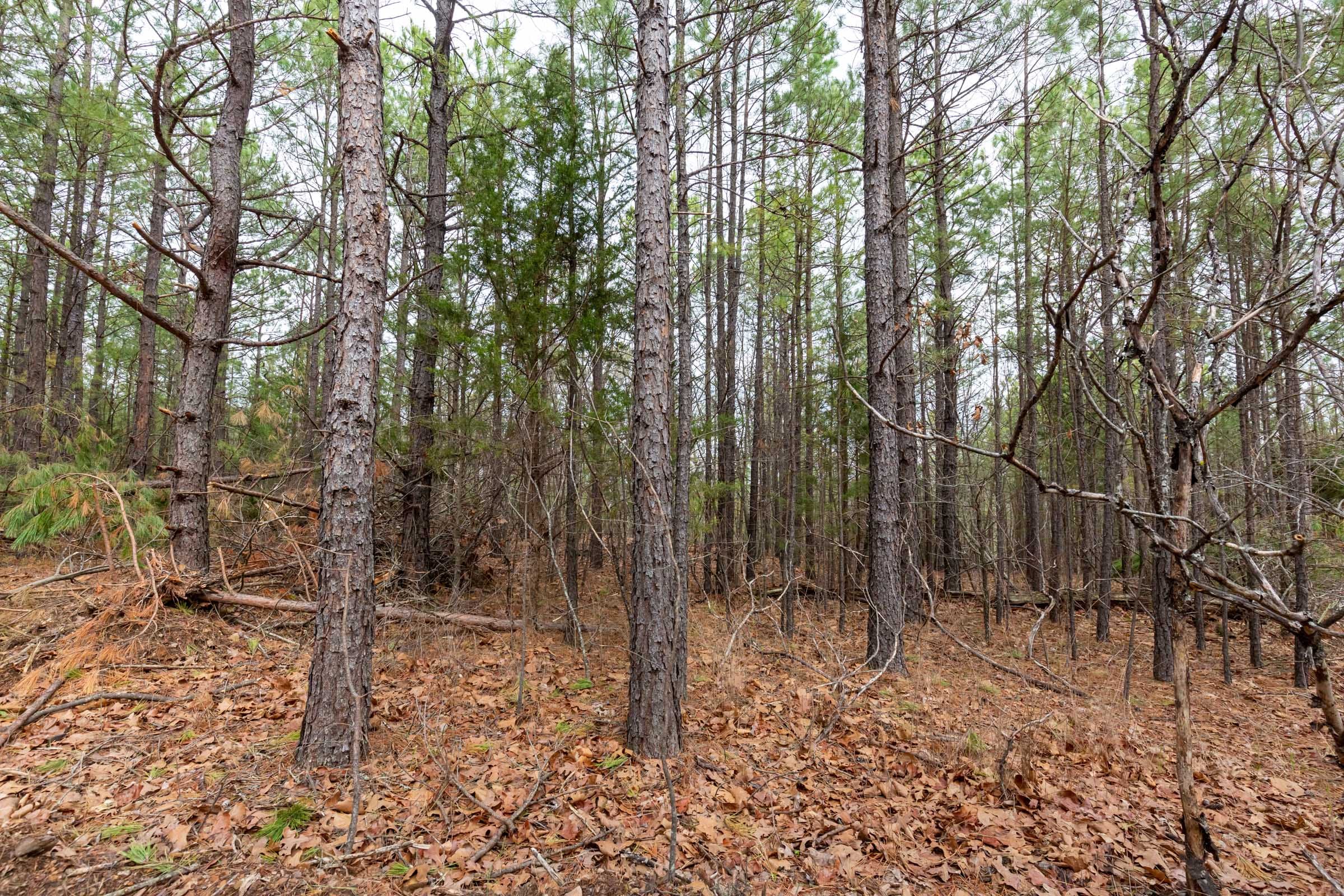 Stone Bridge Phase III Tract 190 photo 5