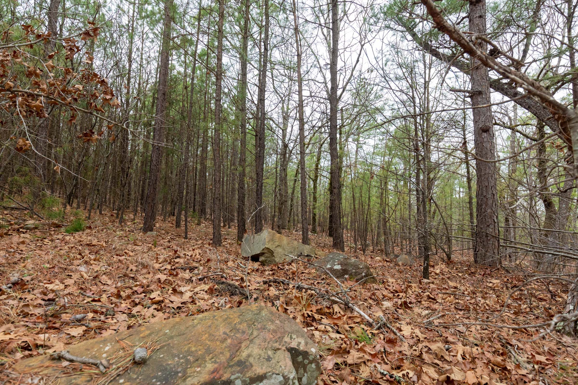 Stone Bridge Phase III Tract 190 photo 7