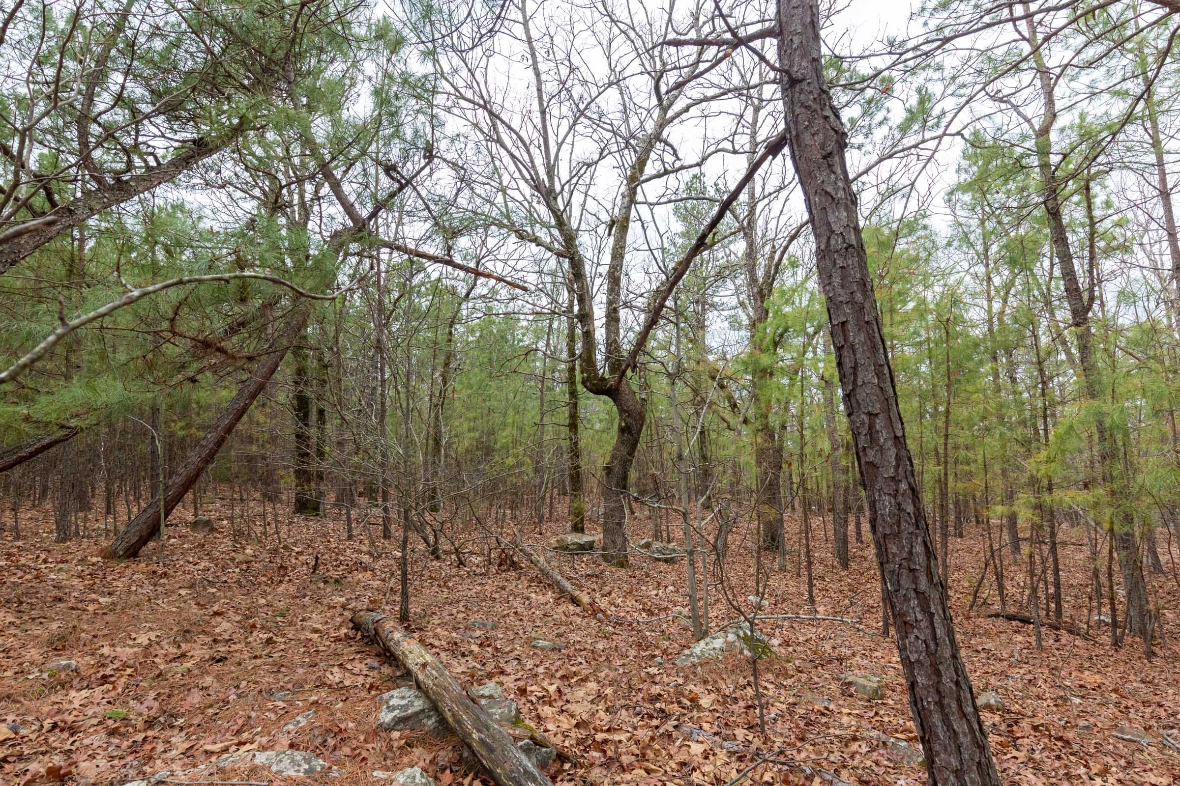 Stone Bridge Phase III Tract 190 photo 8