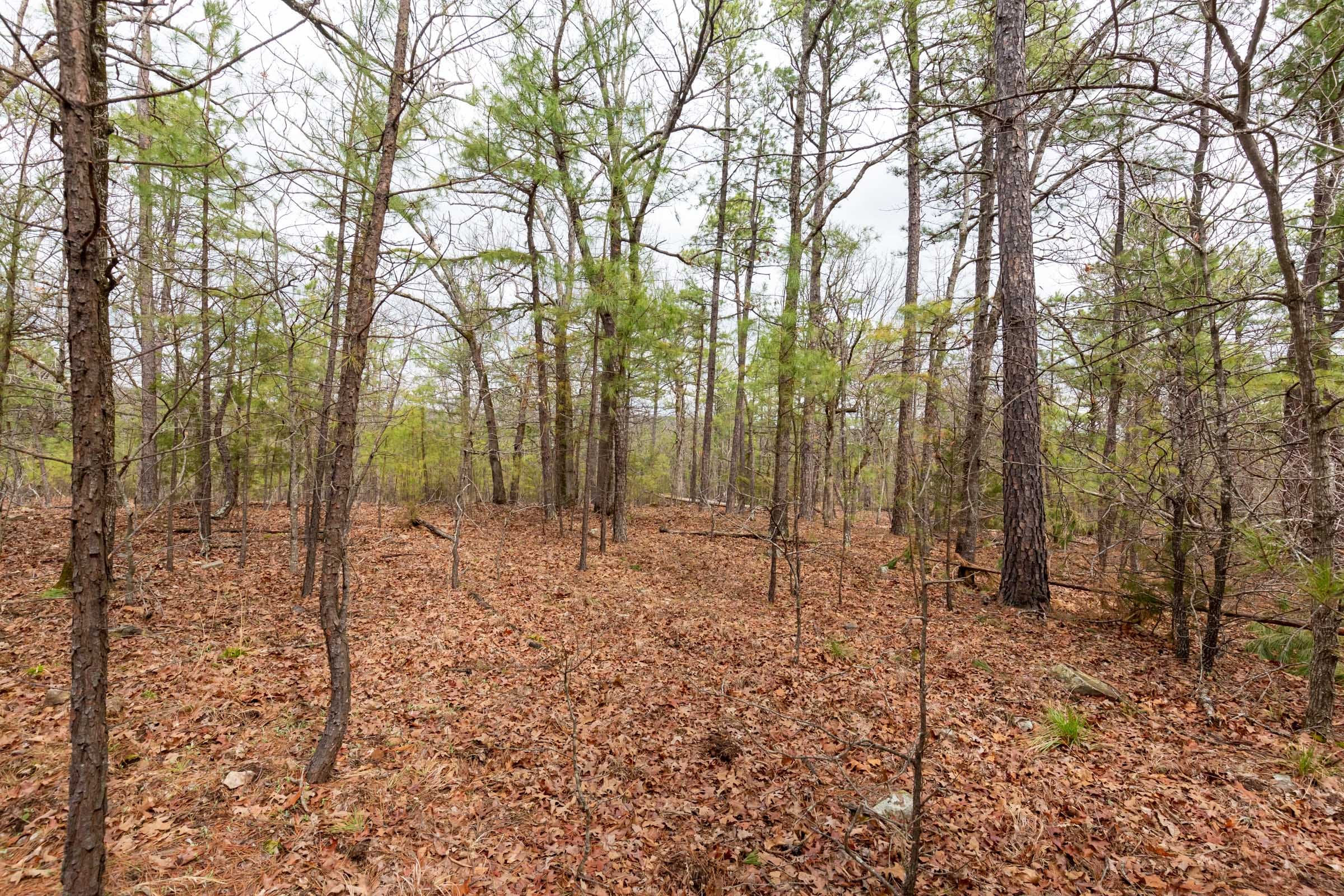 Stone Bridge Phase III Tract 190 photo 10