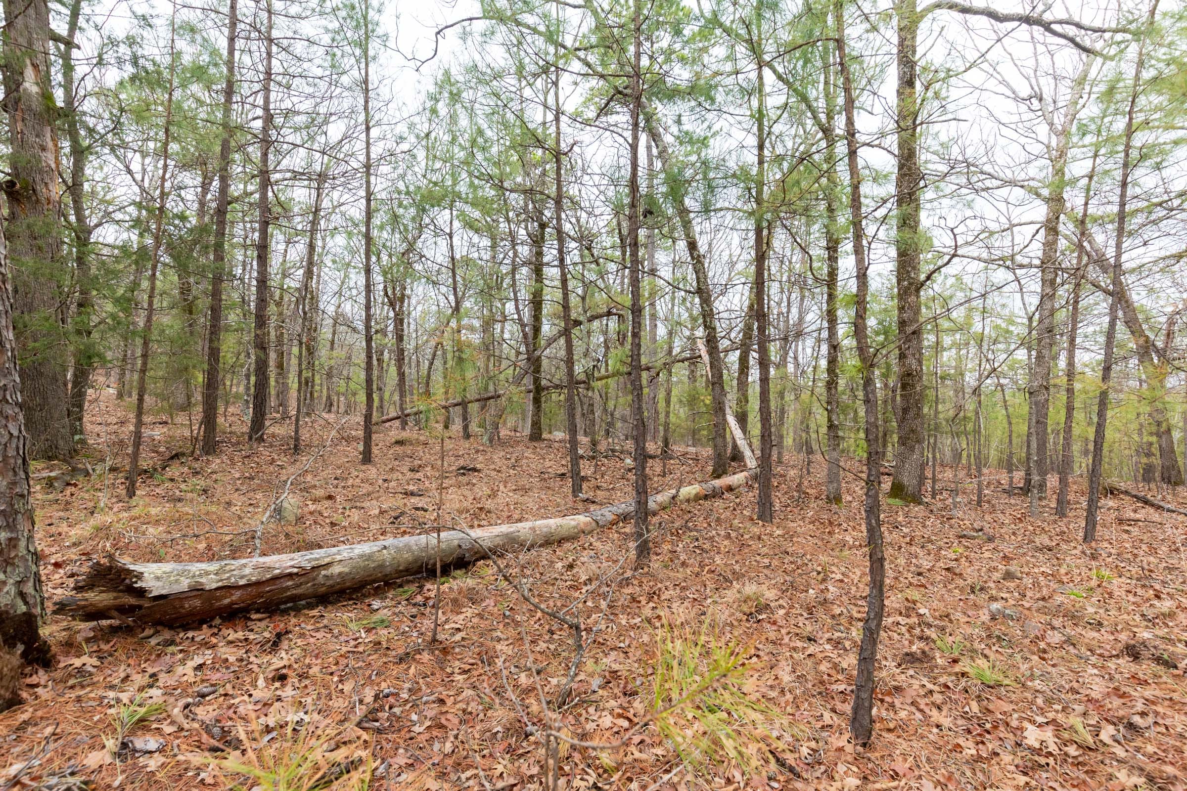 Stone Bridge Phase III Tract 190 photo 11