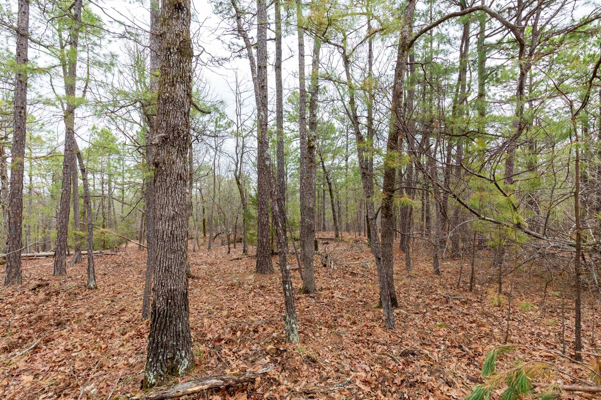 Stone Bridge Phase III Tract 190 photo 12