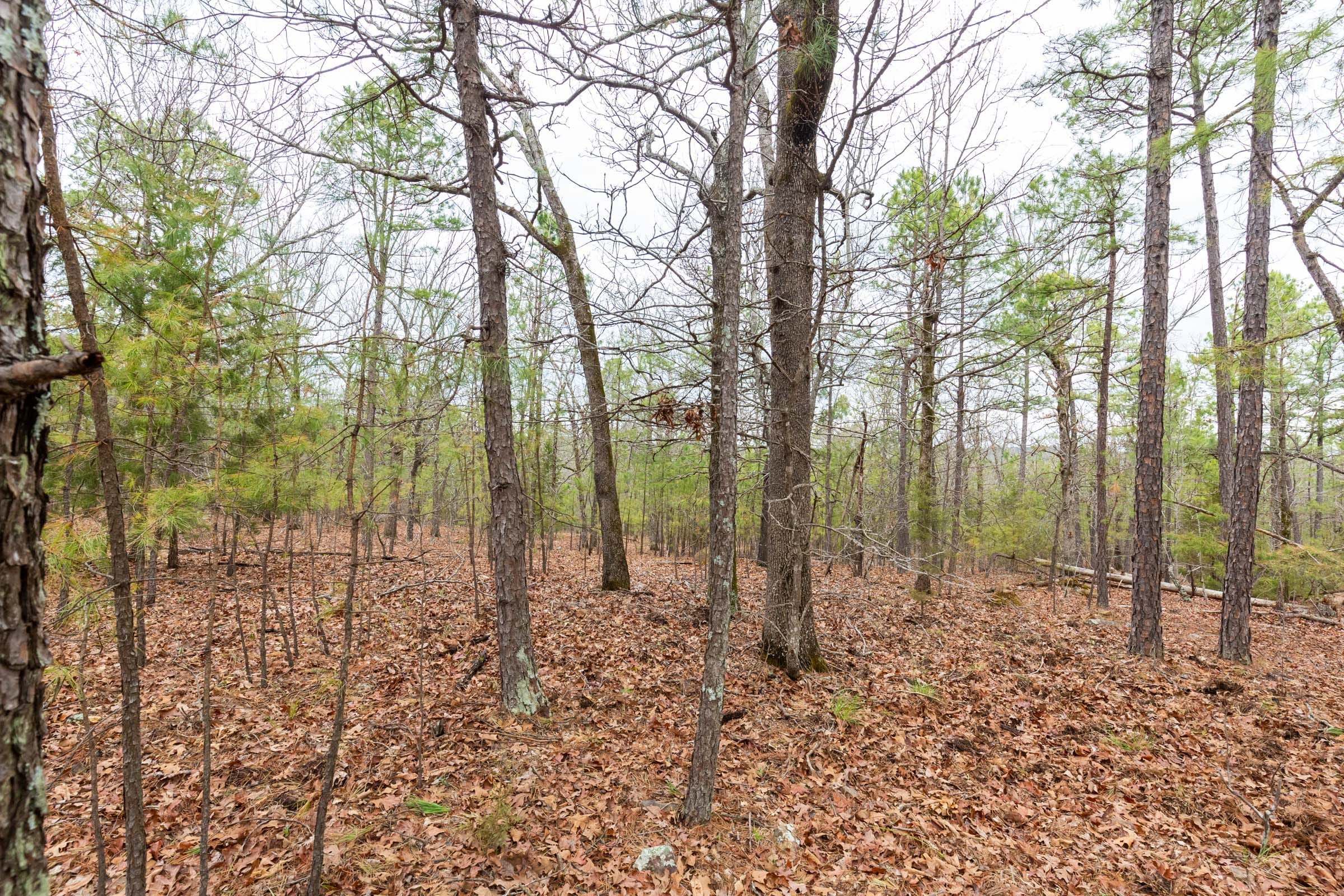Stone Bridge Phase III Tract 190 photo 13
