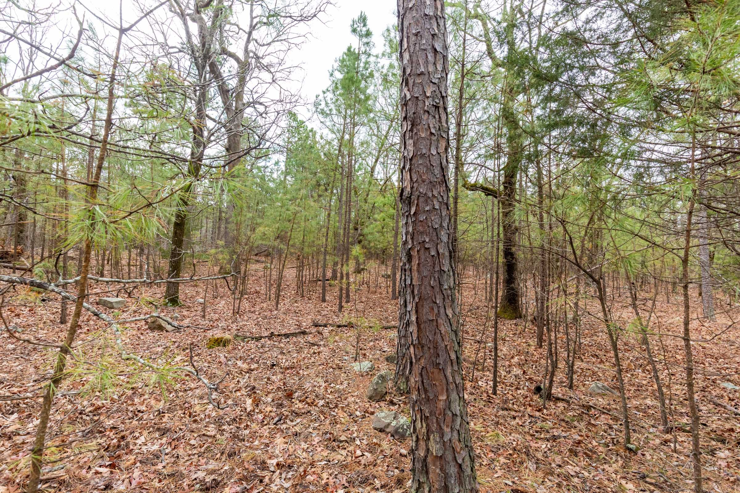 Stone Bridge Phase III Tract 190 photo 15