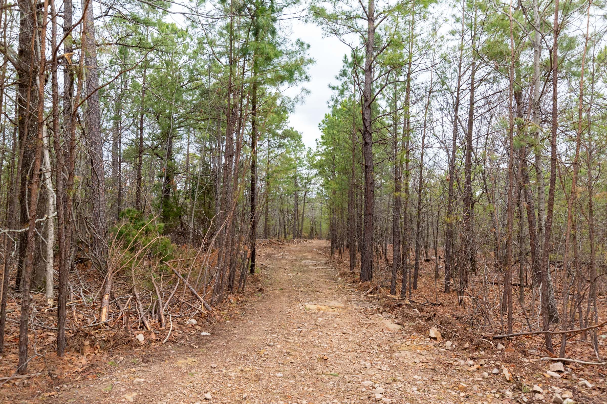 Stone Bridge Phase III Tract 190 photo 1