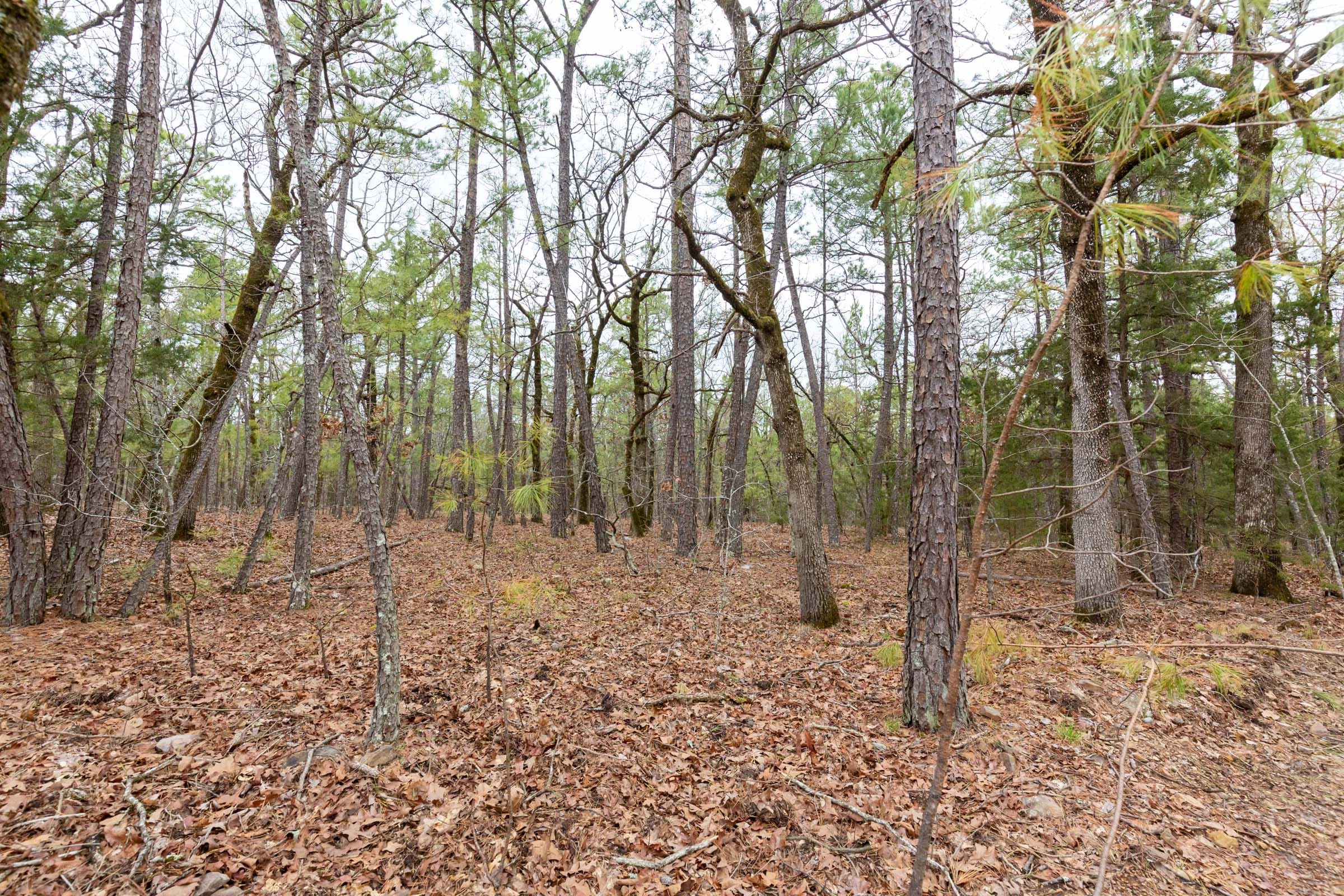 Stone Bridge Phase III Tract 190 photo 16