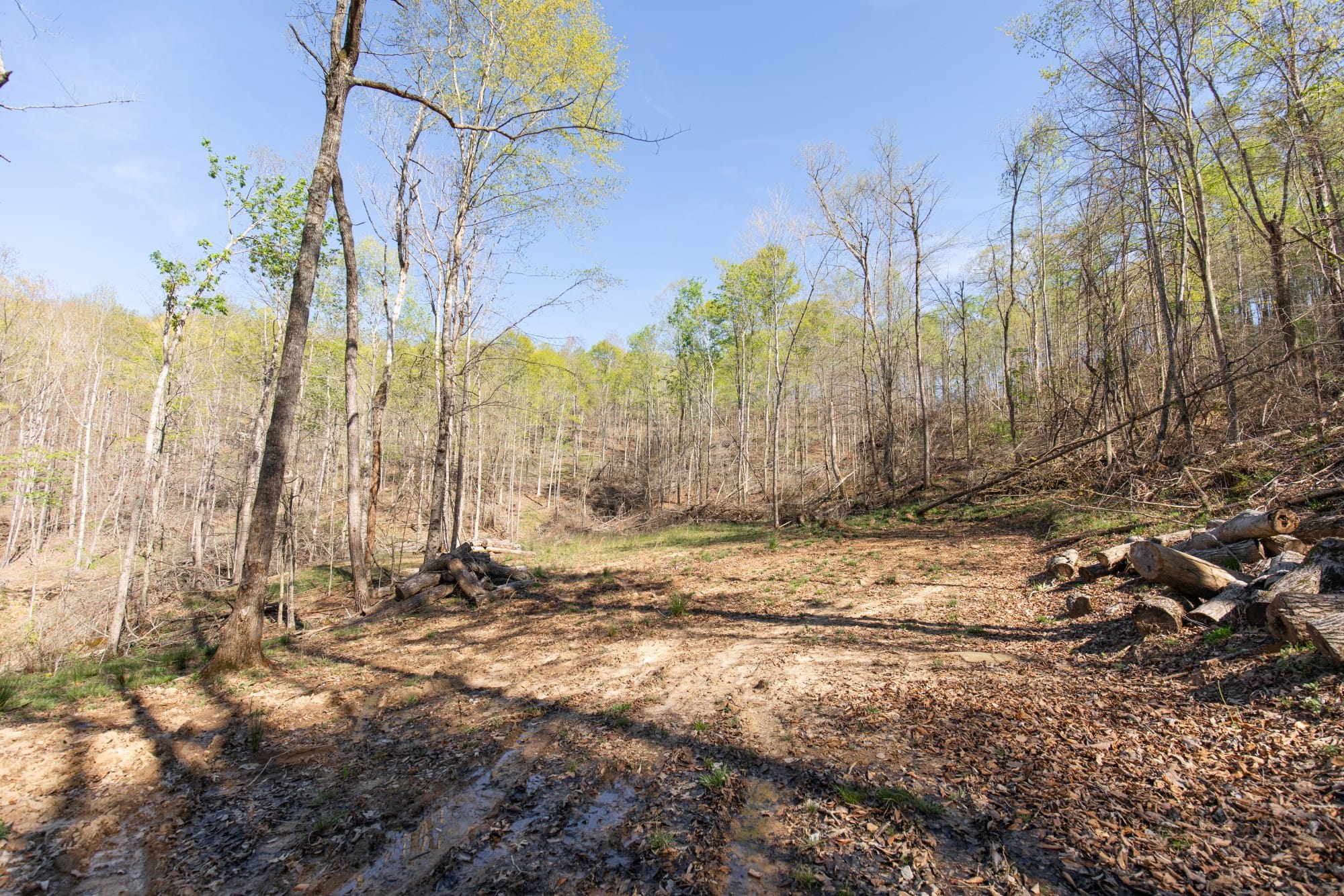 Bluegrass Ridge Tract 11 photo 3