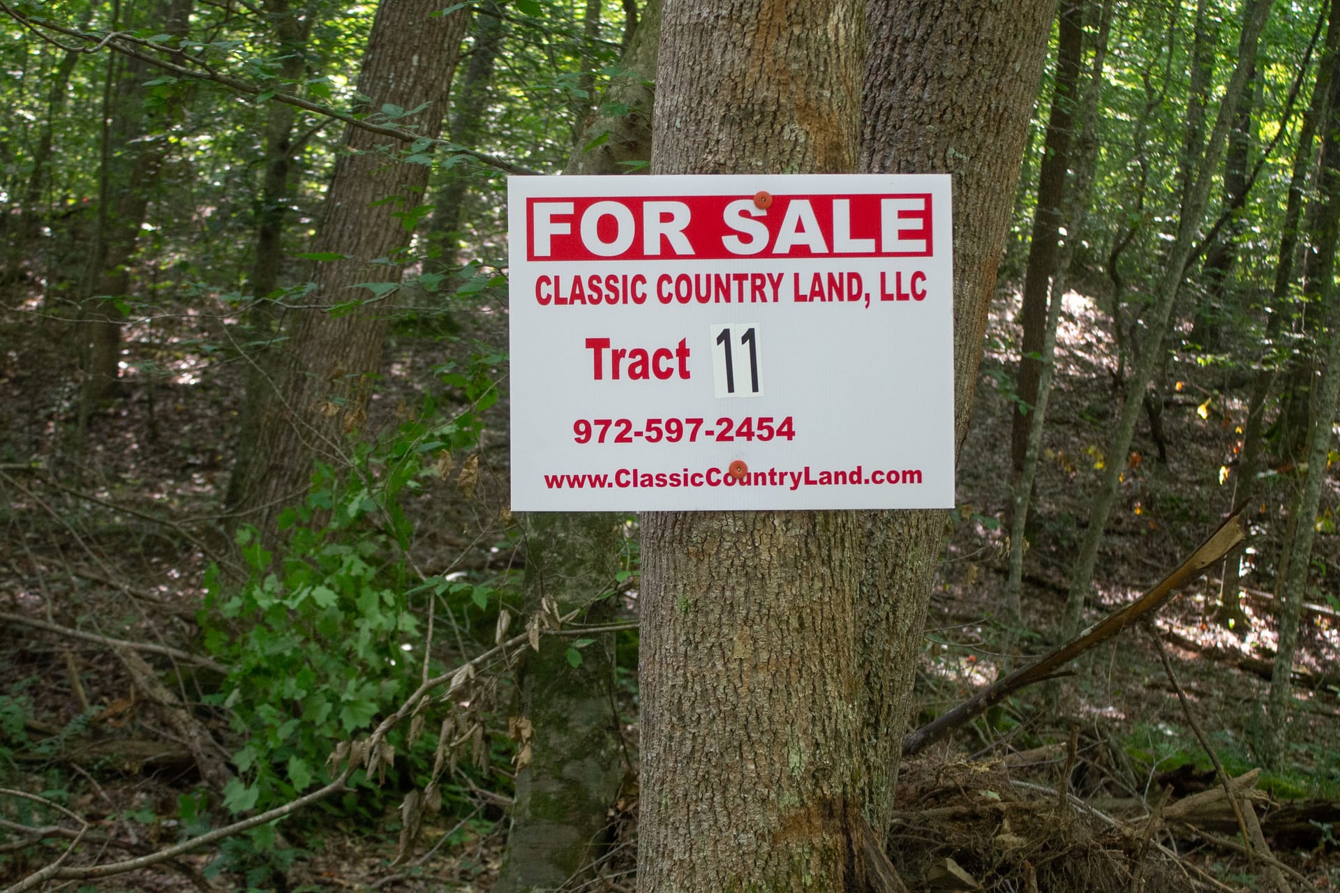 Bluegrass Ridge Tract 11 photo 2