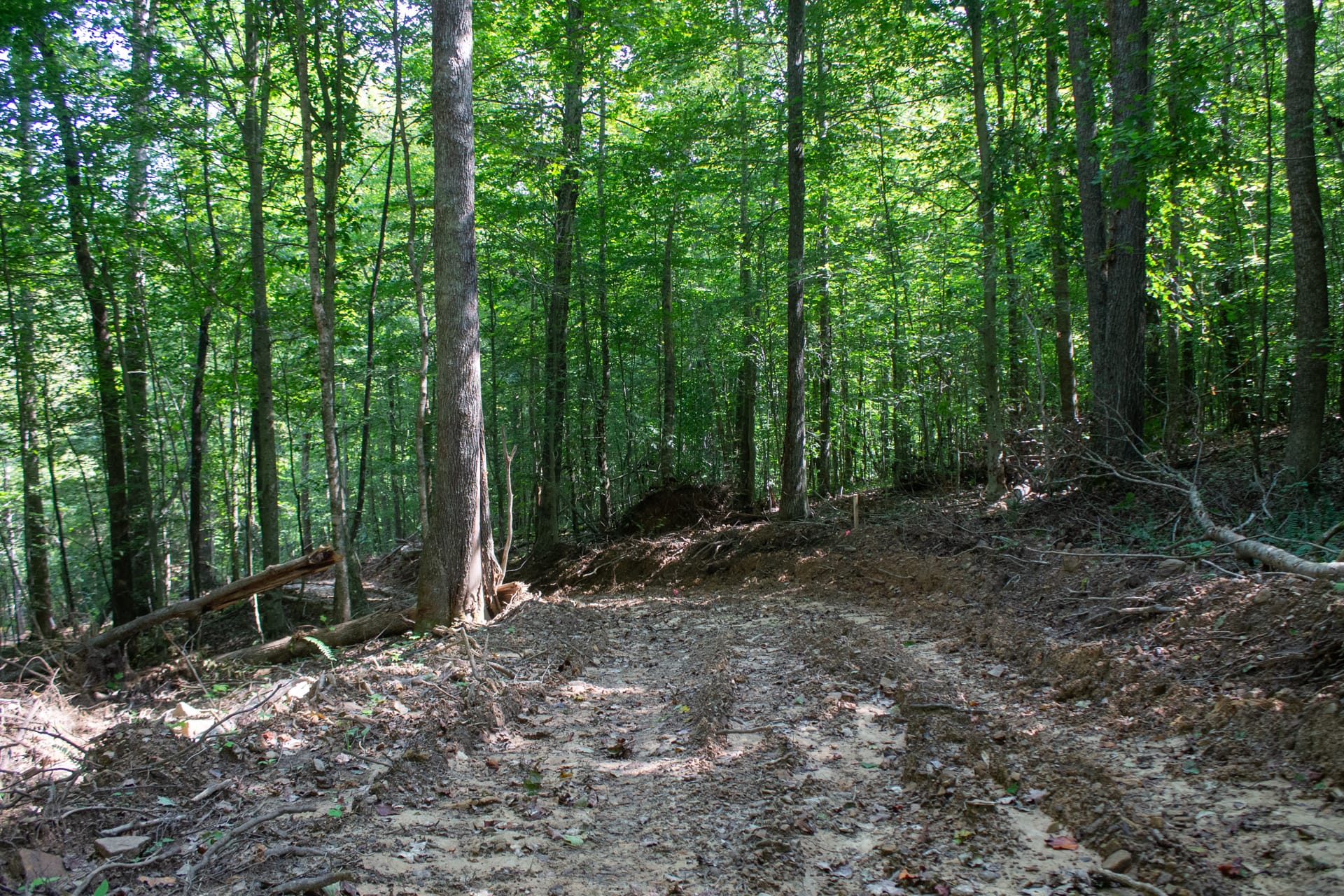 Bluegrass Ridge Tract 11 photo 27