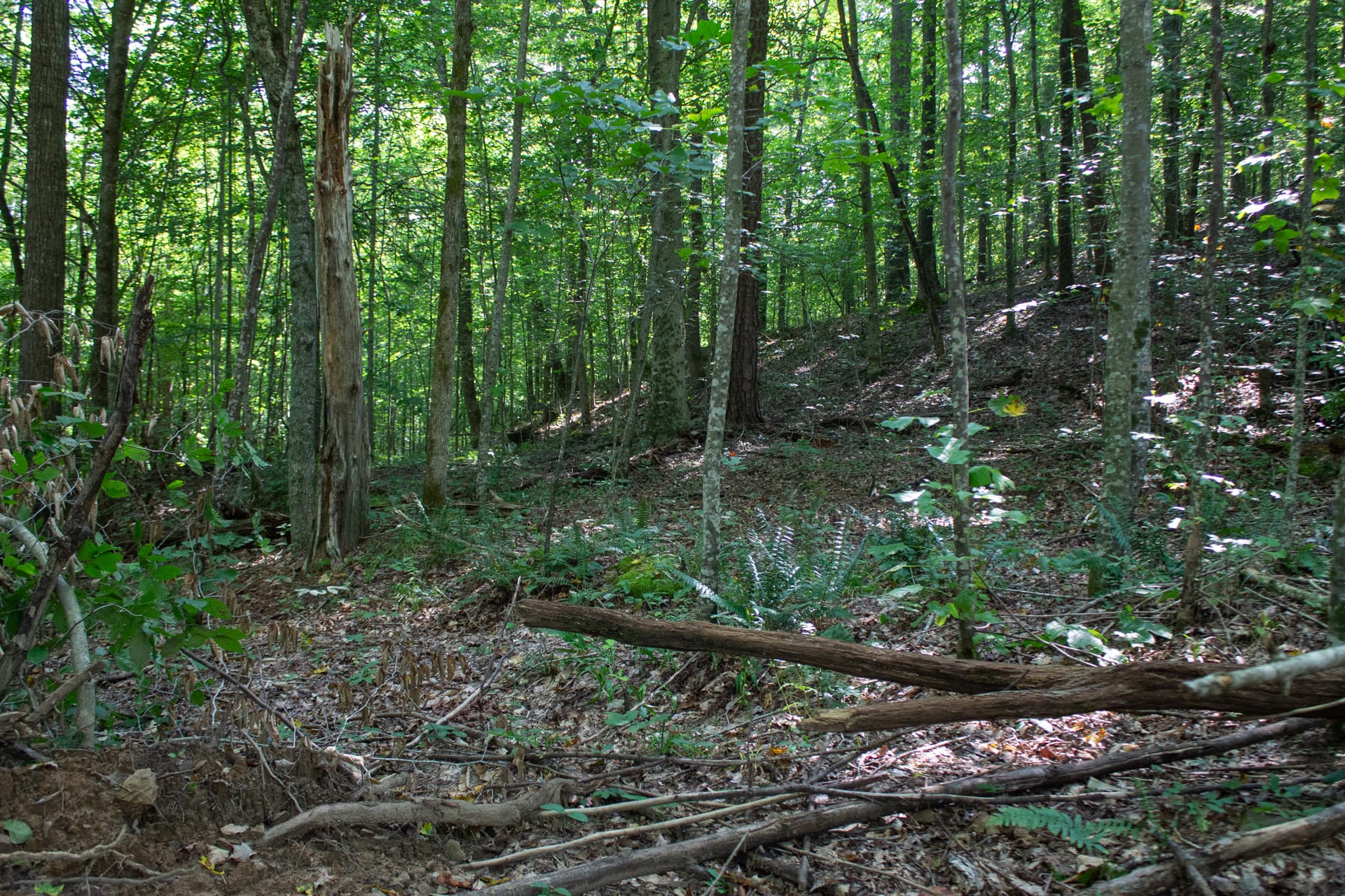 Bluegrass Ridge Tract 11 photo 28