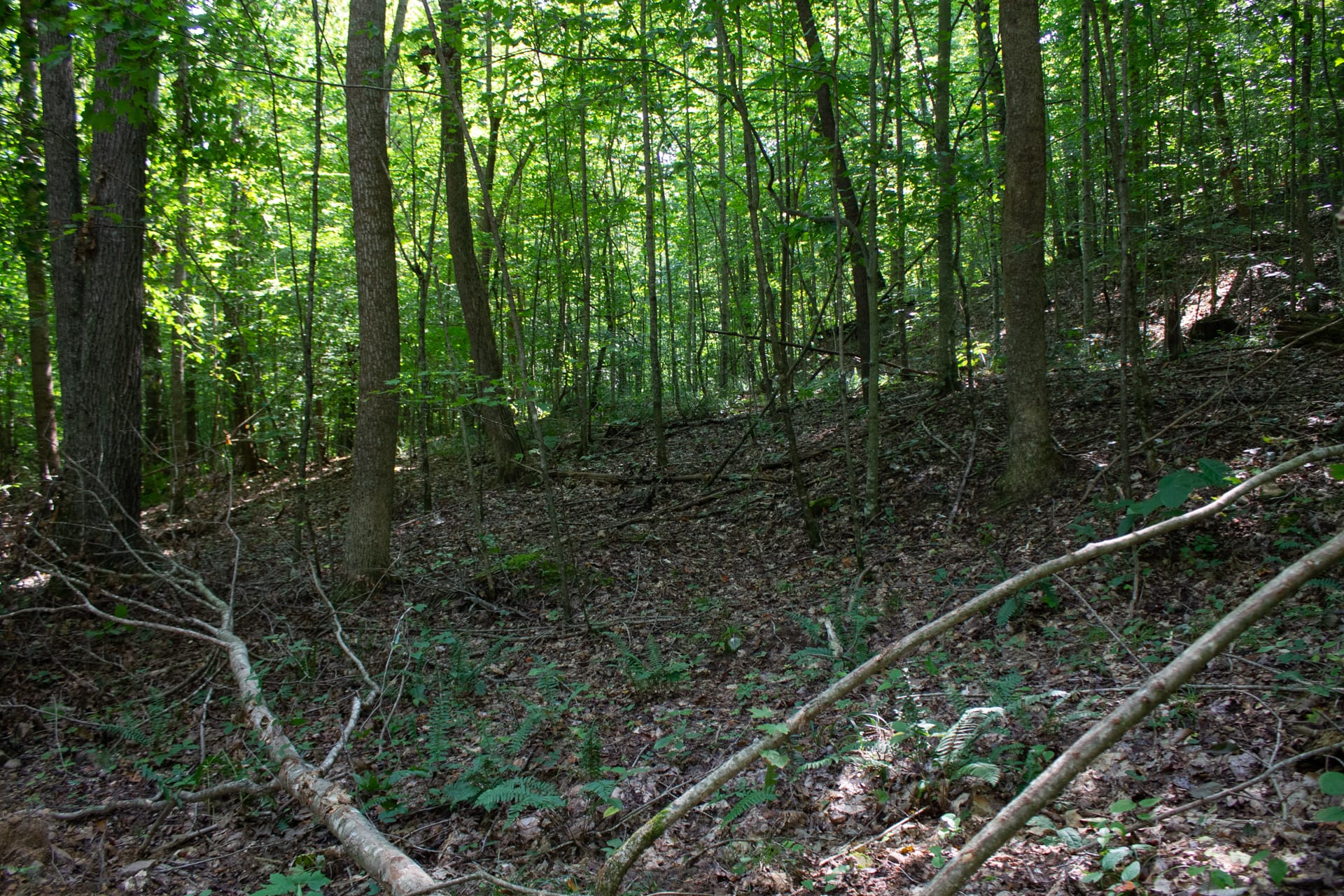 Bluegrass Ridge Tract 11 photo 29