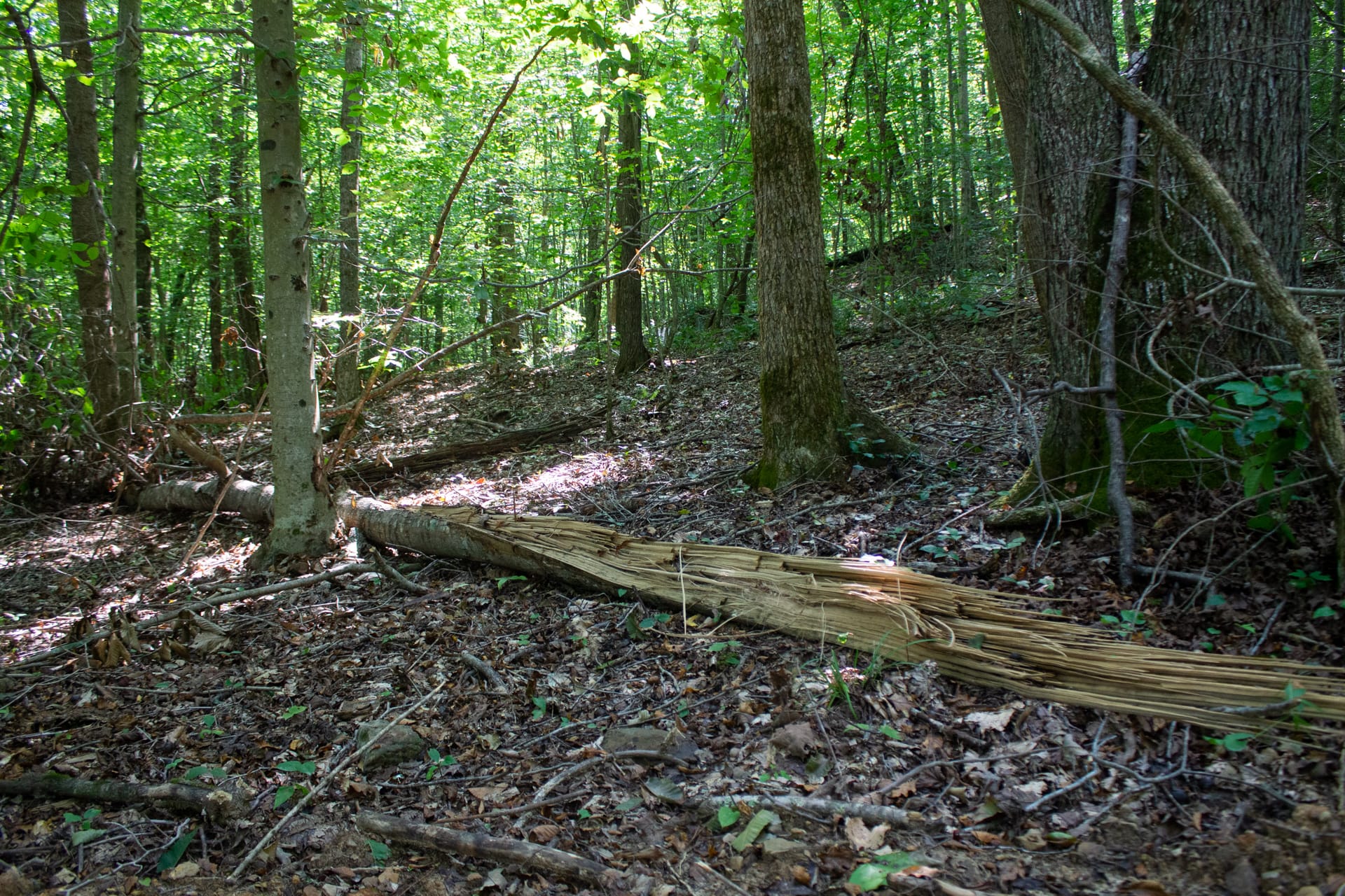 Bluegrass Ridge Tract 11 photo 31