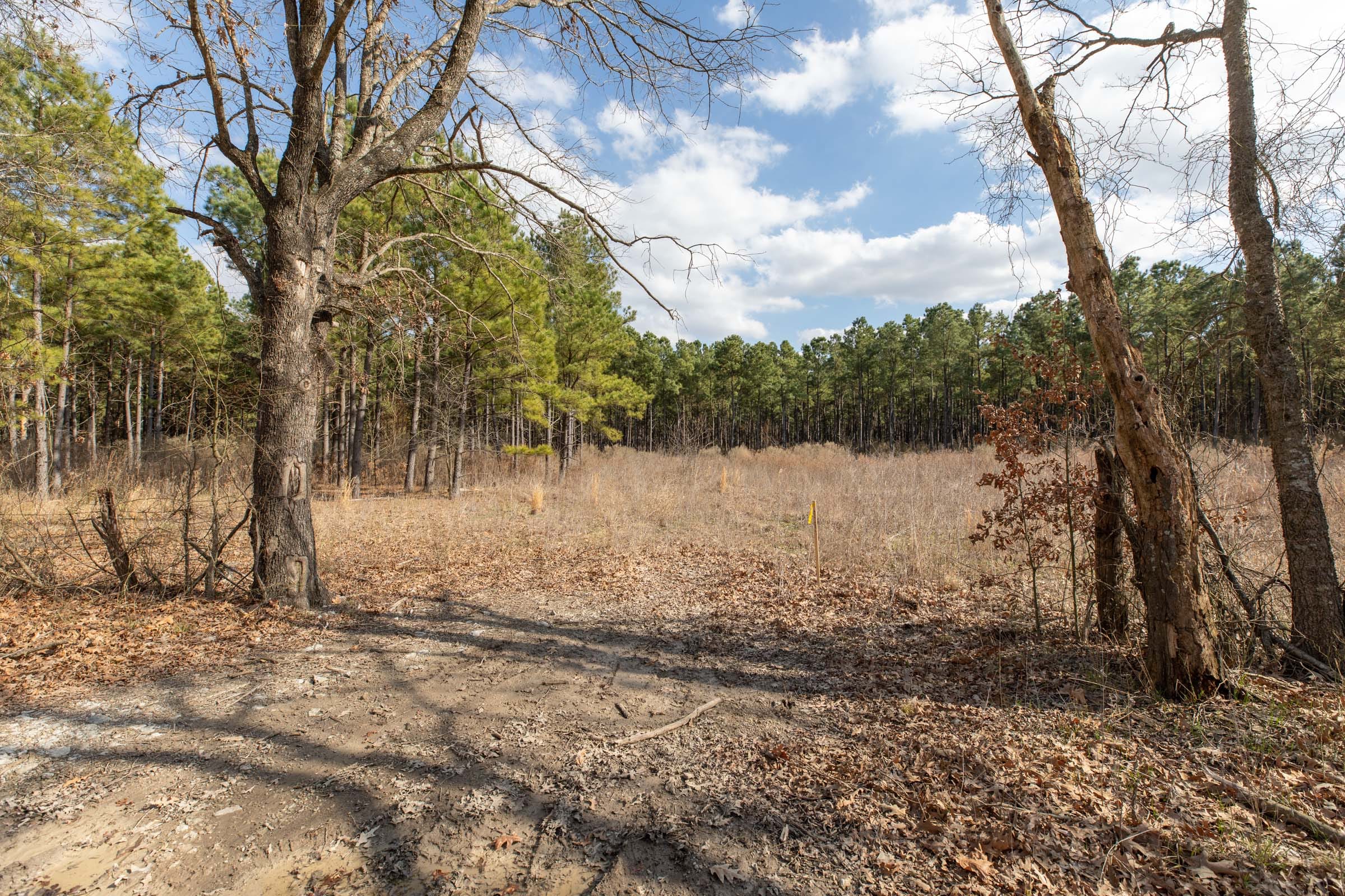 Wishing Star Ranch Tract 47 photo 2