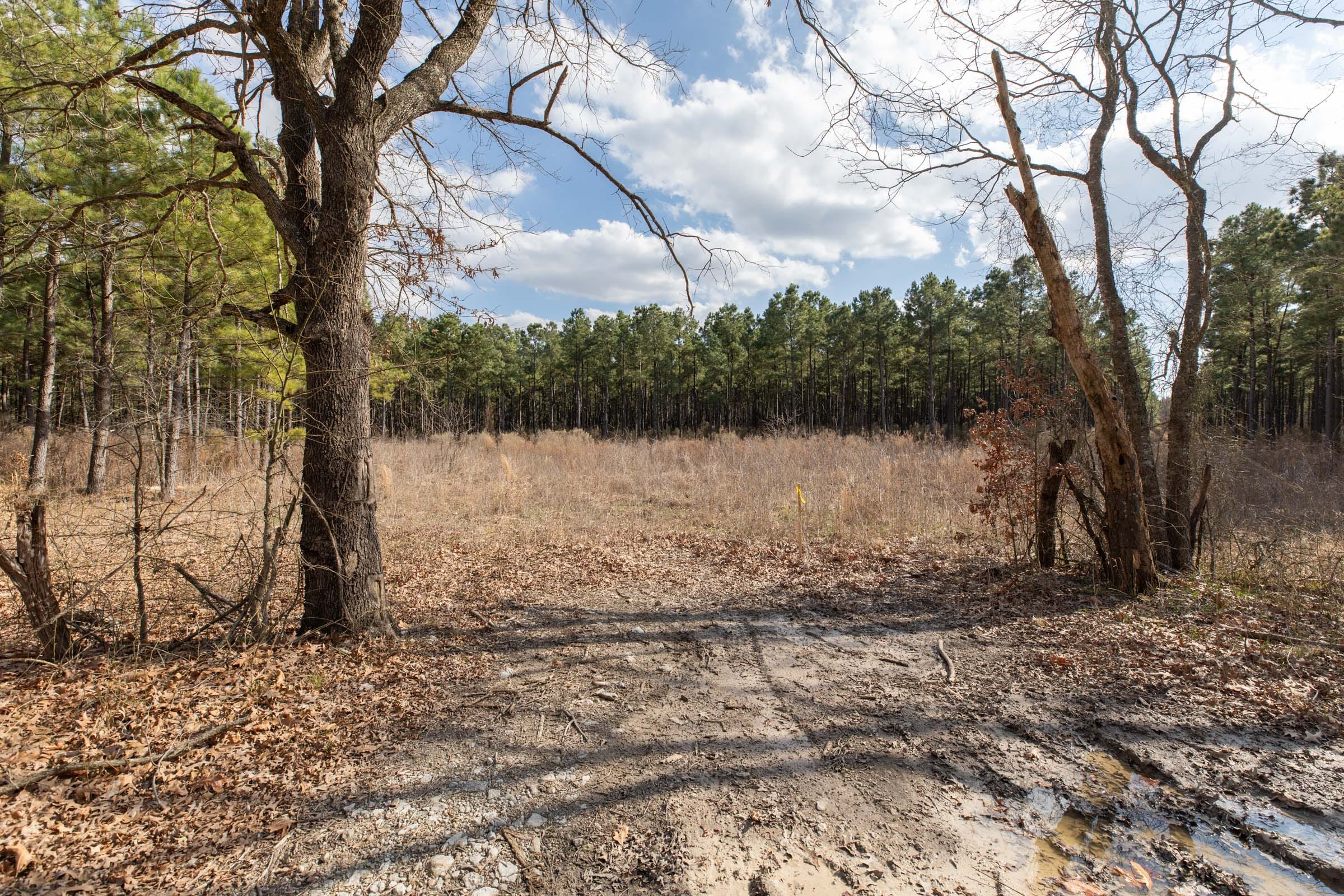 Wishing Star Ranch Tract 47 photo 3